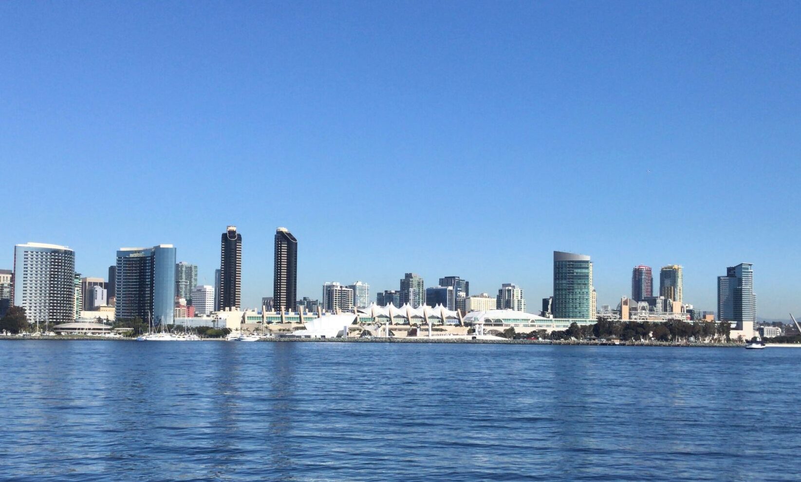 MicroOrganoLab at CellBio2024 in sunny San Diego
